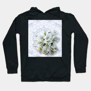 pretty bougainvillea on delicate kaleidoscope Hoodie